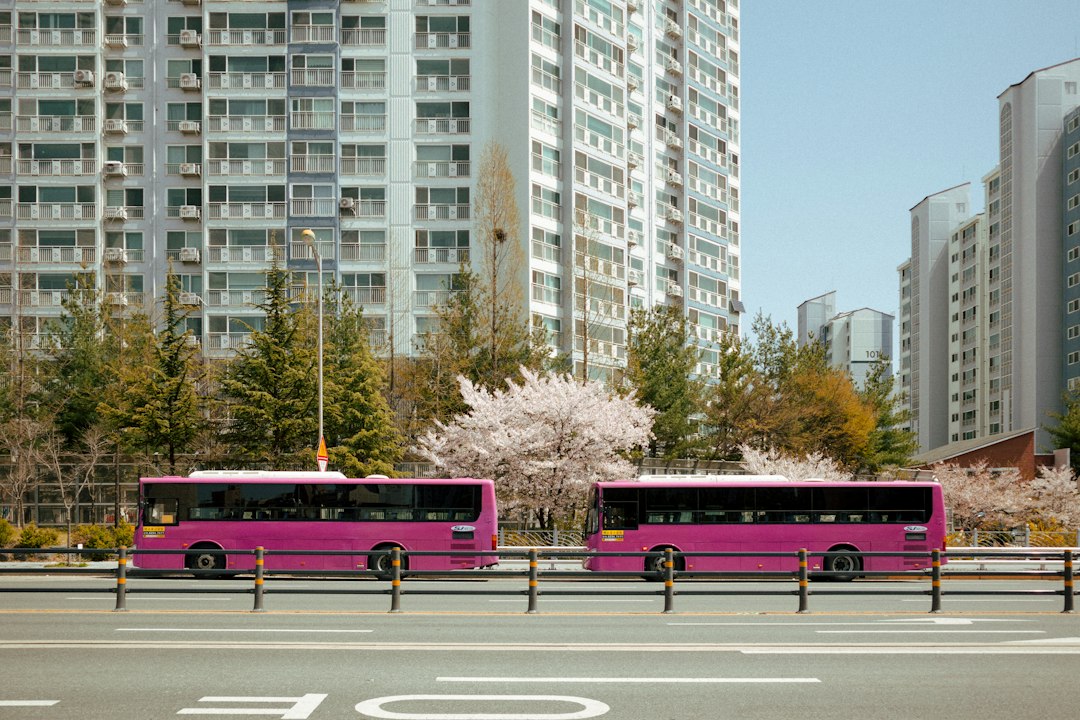 라이브클래스 참고 이미지 2