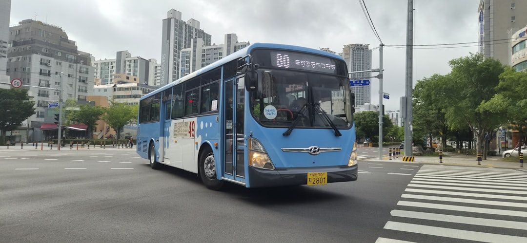 라이브클래스 참고 이미지 2