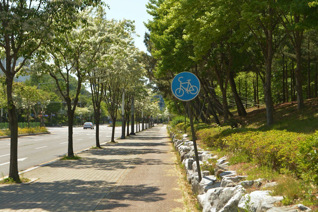라이브클래스 참고 이미지 2
